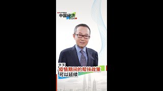 张军：疫情期间的帮扶政策可以继续延续，给家庭、中小微企业直接补助