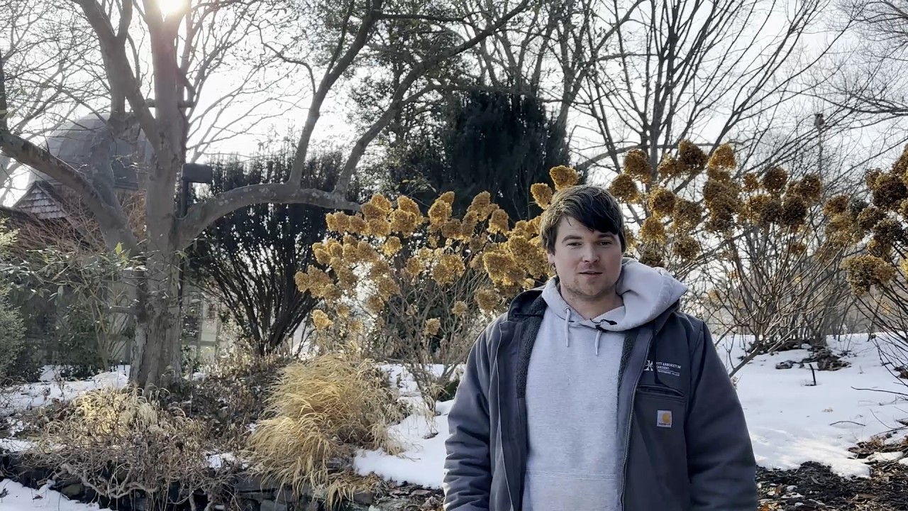 Экскурсия в обеденное время: зимние развлечения