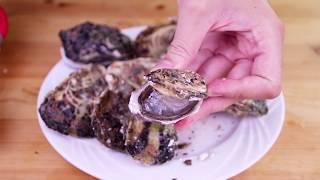 【2包免運】澎湖現撈牡蠣✨超簡單開殼教學✨ 