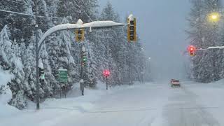 Snow Storm In Whistler BC 4K