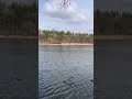 Хочу на рыбалку 😍🎣 #рыбалканаозере #природныепейзажи