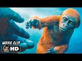 Kong meets suko scene  godzilla x kong the new empire 2024 movie clip