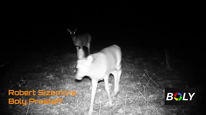 A Big Old Buck - Images from Boly Pro Staffer Robe...