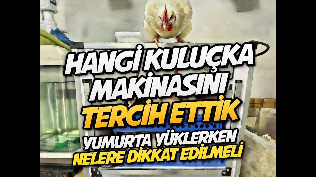 HANGİ KULUÇKA MAKİNASINI TERCİH ETTİK | KULUÇKAYA YUMURTA NASIL HAZIRLANIR | EVONEST KULUÇKA
