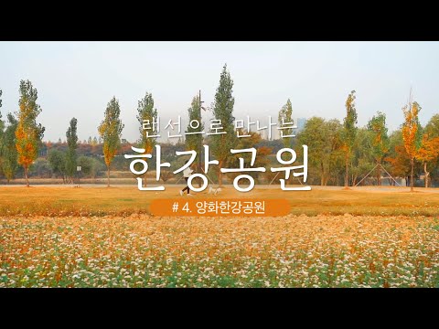 양화한강공원