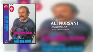 Ali Nurşani / Benim Bana sessizliğim Resimi