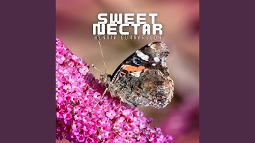 Illuminated by Light from the Sun