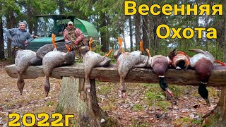 видео: Охота на гуся весна 2022г.Живём и охотимся с Батей на болоте.Варим тушёнку из добытых гусей.(Часть1) картинка: Охота на гуся весна 2022г.Живём и охотимся с Батей на болоте.Варим тушёнку из добытых гусей.(Часть1)