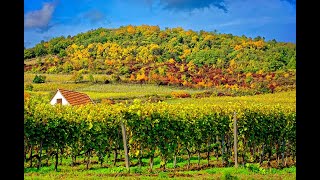 36 Hungary - The Wine Regions of Hungary