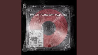 Purosangue - Werco