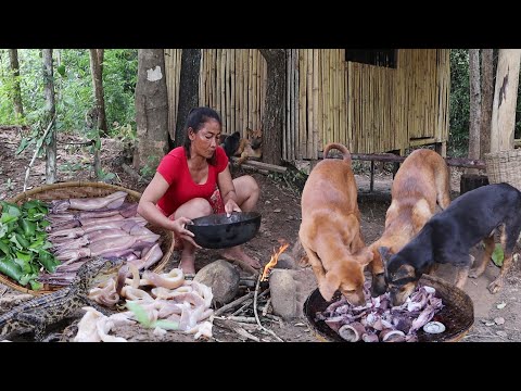 Video: Kuanzisha Puppy Mpya Kwa Kaya Na Paka