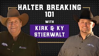Halter Breaking with Kirk and Ky Stierwalt