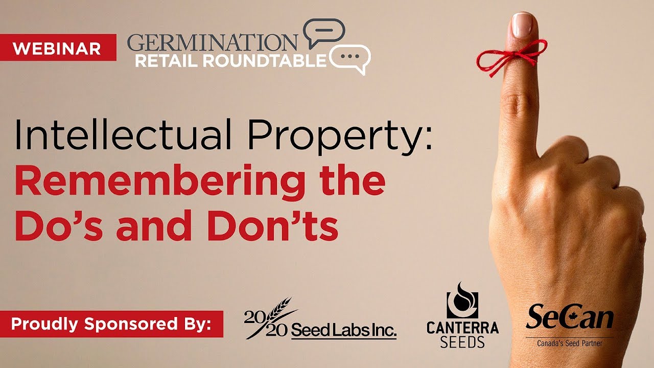 Intellectual Property: Remembering the Do's and Don'ts