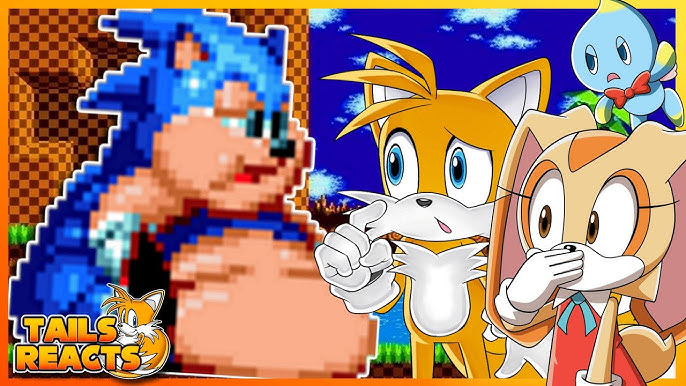 SunnyElSolSol on X: Oh believe me this isn't even the worst part. They  didn't even modified the game at all. Sonic 1 still doesn't let you play as  Sonic and Tails combined