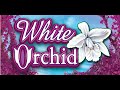 MEGA WIN!!! Re-trigger on White Orchid bonus!!! Hi limit slot!!