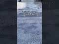 كلمة السر عند الشيعة ♥#مثنى_ناجي