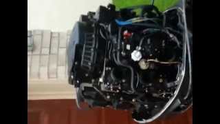 Johnson Fast Strike 150 with bad primer solenoid gasket