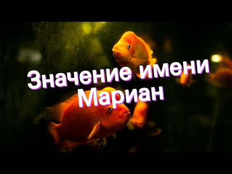 Значение имени Мариан. Толкование, судьба, характер