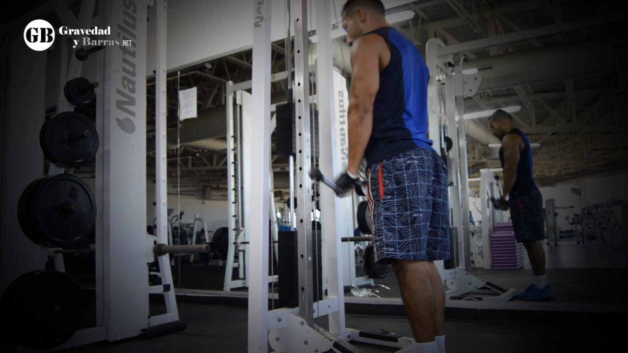 extencion de tricep con z agarre cerrado en polea alta video phone beyonce mp3