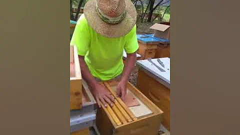 Install Package Bees The Easy Way