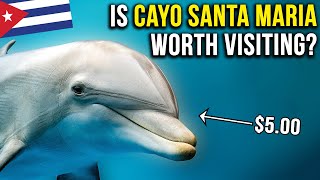 Things to do off-resort in CAYO SANTA MARIA, Cuba!  (Everything you need to know before you go) 🇨🇺 screenshot 1