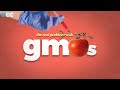 The real problem with GMO Food