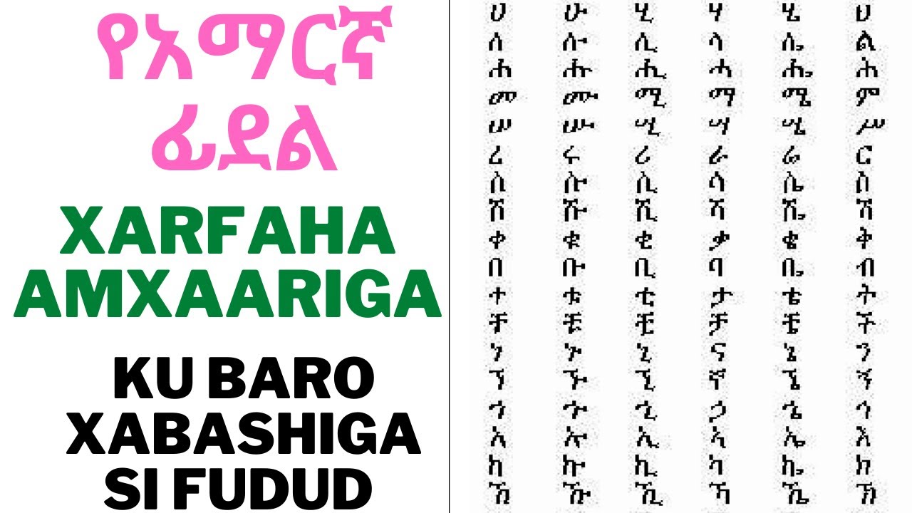 SI FUDUD KU FAHAN KUNA BARO LUUQADA AMXAARIGA AYAAMO | Casharka 1aad