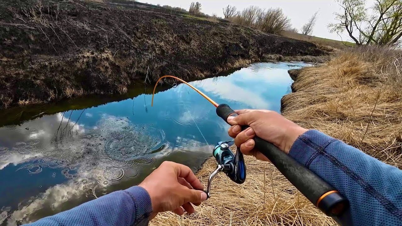 Когда весной можно ловить рыбу на удочку