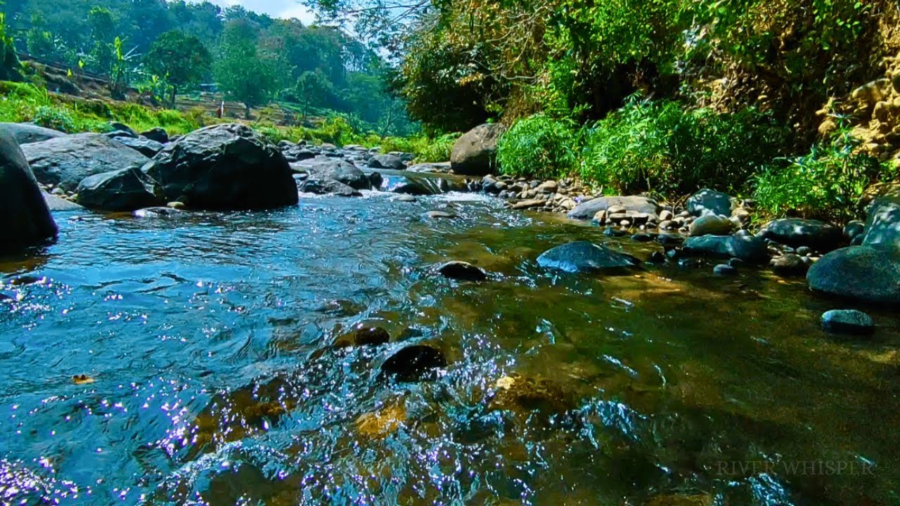 RELAXING SOUNDS FOR SLEEPING | BEAUTIFUL STREAM AND FOREST RIVER FOR DEEP SLEEP & RELAXATION #b50