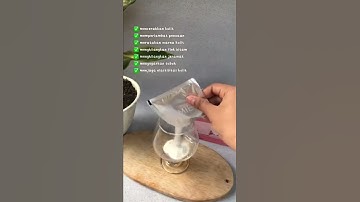 Thumbnail of Rutin Minum Collagen Elmier gak perlu suntik putih lagi #viralvideo #minumanviral