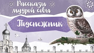 Православный рассказ для детей «Подснежник»