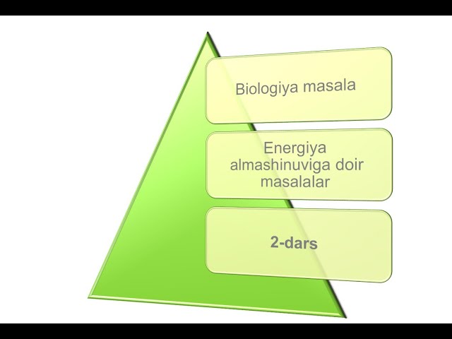 Boy oilalar va xizmatkorlar haqida italyan pornografik filmlar onlayn