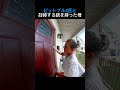 ピットブル4匹と対峙する銃を持った母のサムネイル