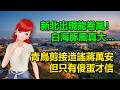 新北出現龍卷風！白海豚風雨真大...｜青鳥剪接造謠蔣萬安但只有傻蛋才信🍓20260808 #高雄林小姐 #Vtuber​​​​ #台灣Vtuber​​​ #台V