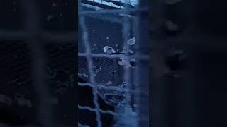 #зсу #україна  #герої  #незламні #сильні #військові #росіяфу #славаукраїні  #героямслава