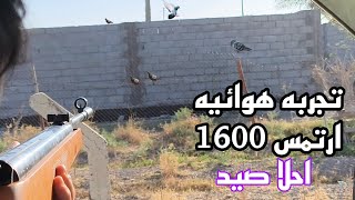 صيد الحمام بندقية ارتمس 1600 اجواء بغداد screenshot 1