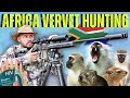 Vervet monkey hunting in africa i air gun hunting monkeys with fx impact  and centerfire