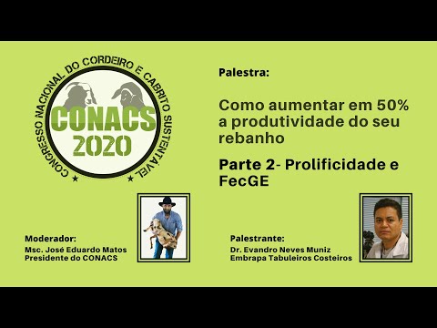 COMO AUMENTAR EM 50% A PRODUÇÃO DE CORDEIROS DO SEU REBANHO - PROLIFICIDADE E FecGE