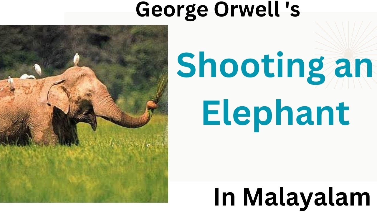 Shooting an Elephant by Orwell Summary in Malayalam Themes