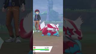 ⭐️46 Regional Dex : Linéon de Galar Shiny en 2360 Oeufs
