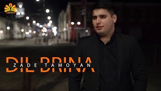 Zade Tamoyan  - Dil Brina  / Official Music Video 4K