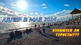 Из Краснодара в Адлер в мае. Купаются ли туристы? Сочи 2024. Черное море.