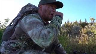 SHOT FIRED | Utah high country archery  mule deer hunt
