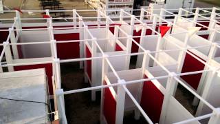 2014 Kansas State Fair 6