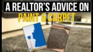 A Realtor's Advice On Paint and Carpet | Aidelis Leon - Realtor®️