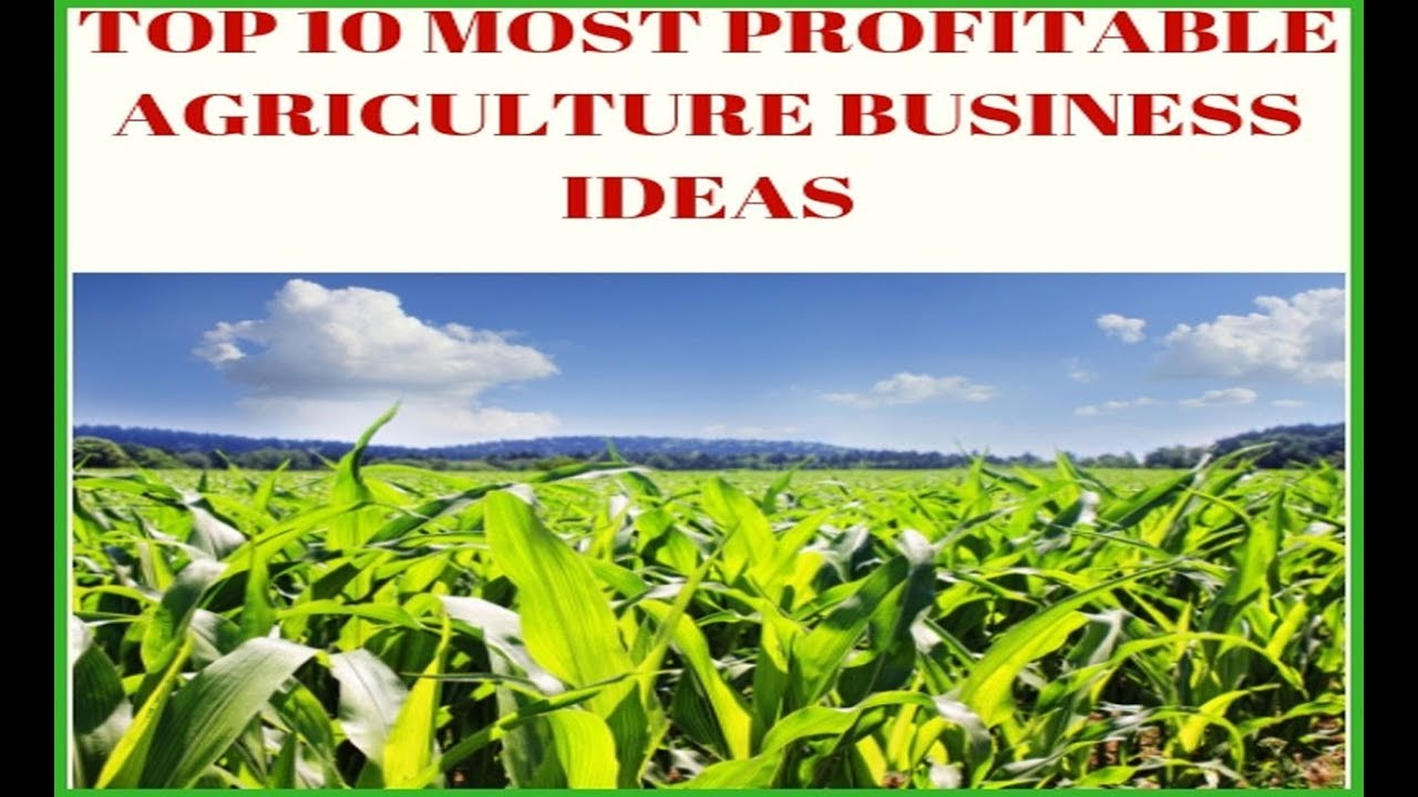 Top 10 Most Profitable Agriculture Business Ideas to Start Immediately ...
