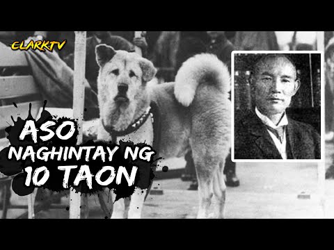 Video: Ang Totoong Kwento Ni Hachiko Na Aso