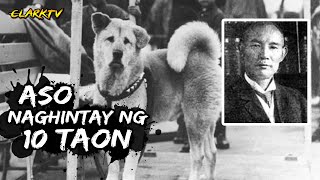 Aso Naghintay ng 10 Taon sa Amo hanggang Mamatay - Totoong Kwento ng Asong si Hachiko