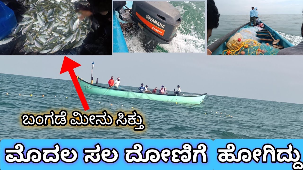 ಬಂಗಡೆ ಮೀನಿಗೆ🐟 ಒಂದ್ ಬಲೆ ಬಿತ್ತು || ಪಟ್ಟೆ ಬಲೆ ದೋಣಿ