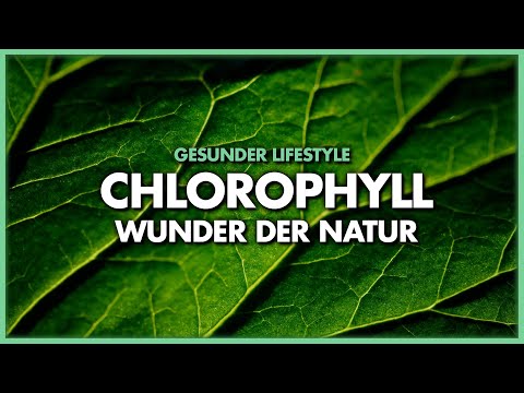 Video: Was bedeutet Chlorophyll?